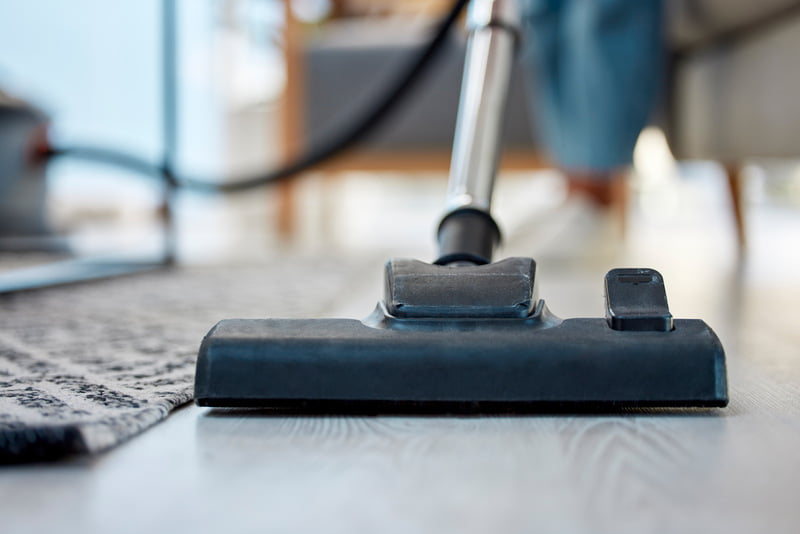 Pro Tips to Remove The Toughest Carpet Stains
