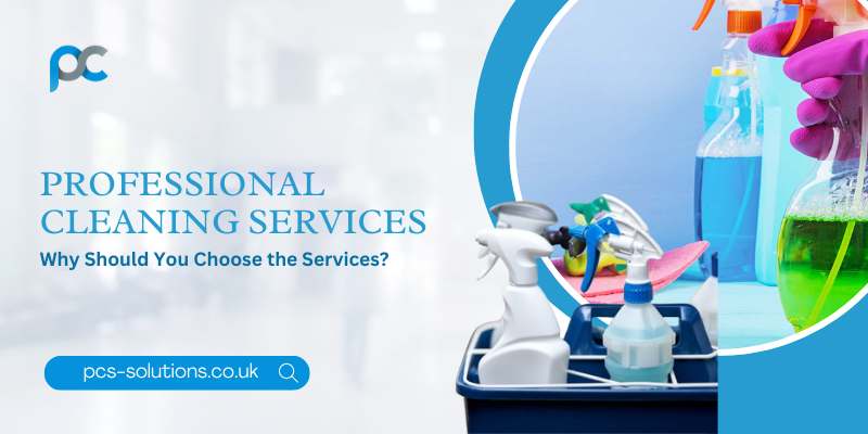 Professional Cleaning Services – Why Should You Choose the Services?